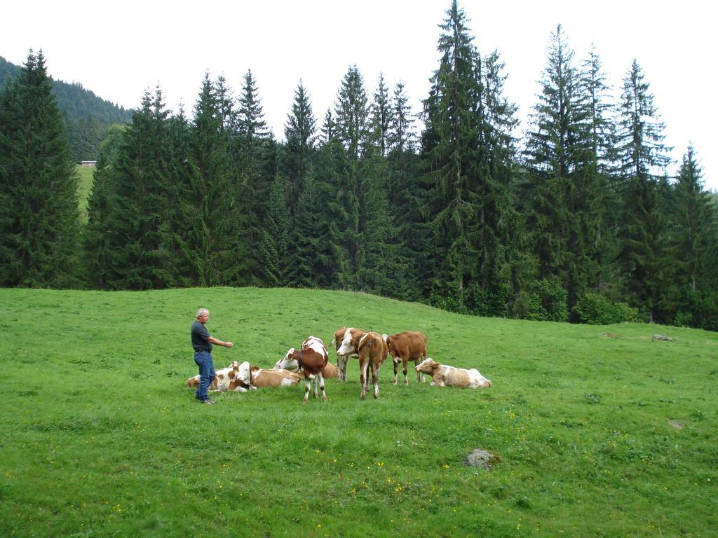 Scherntreinerhof Westendorf Exterior photo